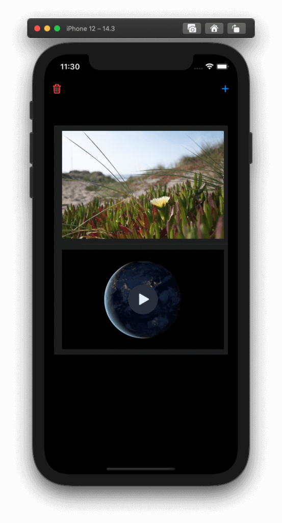 phpicker-ios14-import-video