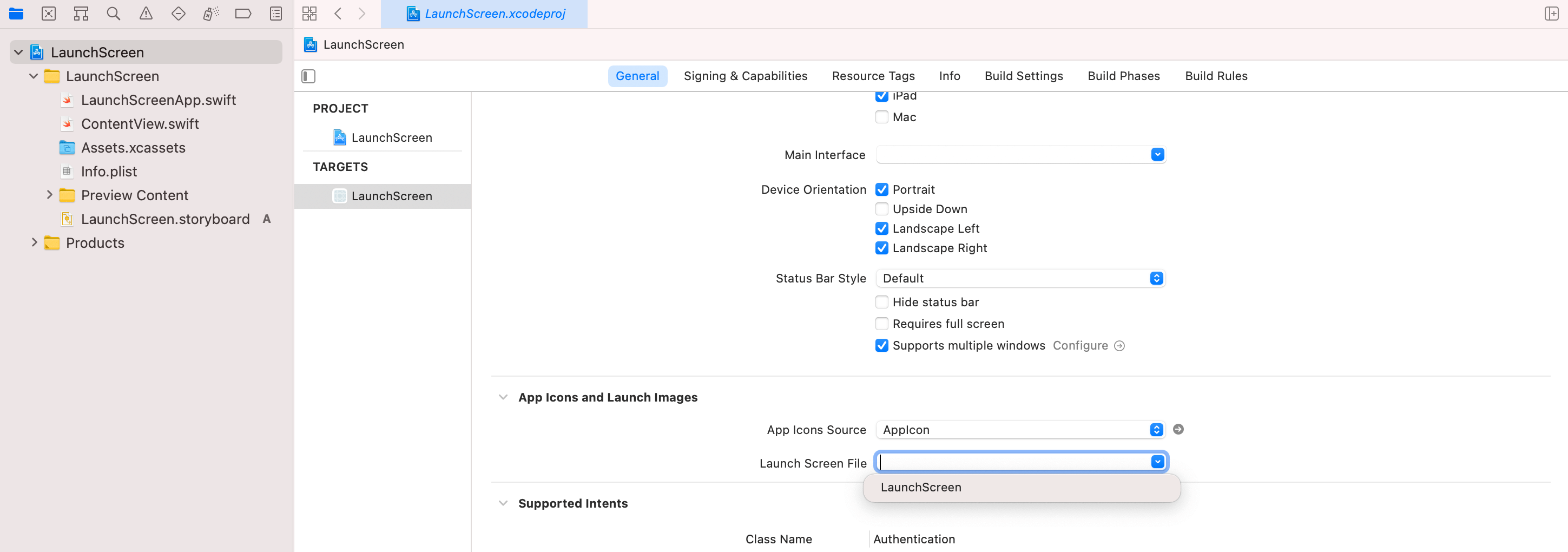 Launch Screen - Setting the project option